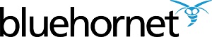 BlueHornet-Logo-San-Diego-AMA-Content-Marketing